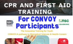 CPR-First-AID-training-for-CONVOY-participanrs