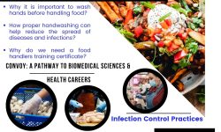 Food-handlers-Training-Infection-Control